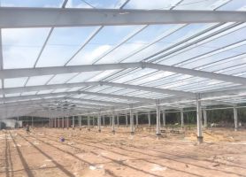 TRẠI TRỒNG NẤM KHUNG NHÀ THÉP TIỀN CHẾ
